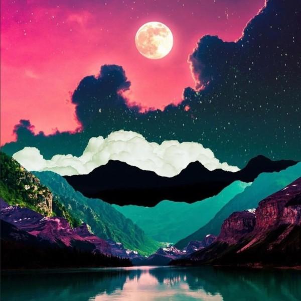 救出被困的老鼠