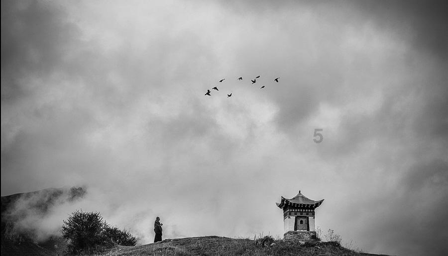 琉璃什么颜色最贵？游戏画面