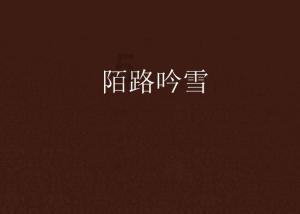 疯狂的小猫