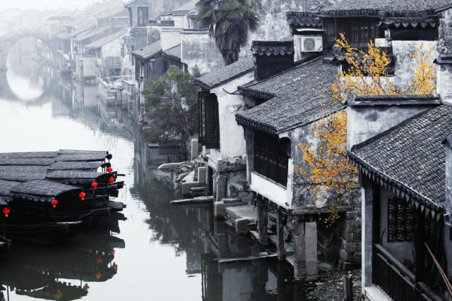 林熙蕾和刘德华搭档后,立马帮唐嫣马伊琍索要签名,原因笑翻全场